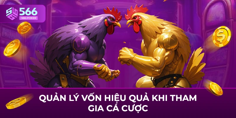 Quản lý vốn hiệu quả khi tham gia cá cược